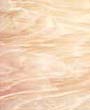 891-81 Iridized & Specialty Glass