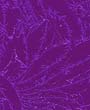 g c-311 Iridescent Glass & More
